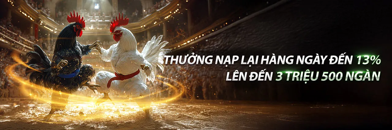 Sân đấu Đá Gà GA179 trực tuyến sôi động